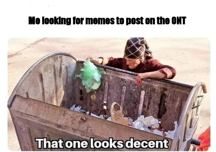 shitty memes.jpg